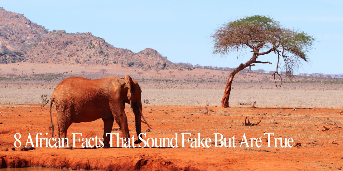 8 African Facts That Sound Fake But Are True