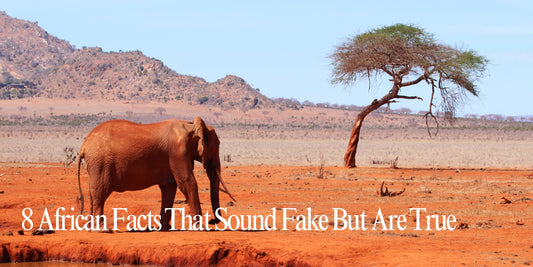 8 African Facts That Sound Fake But Are True